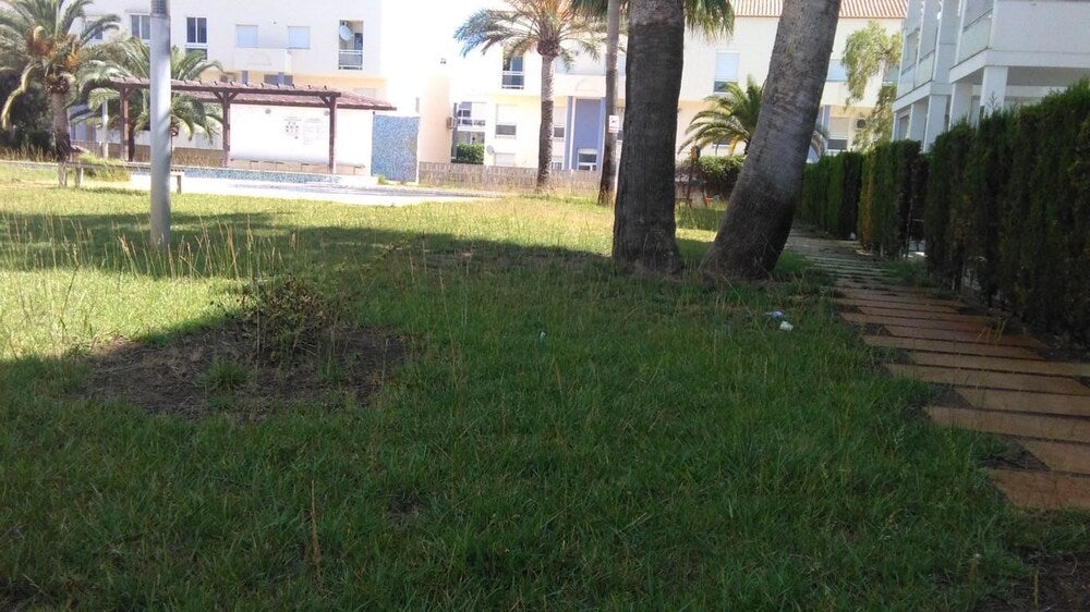 Imagen 5 de 23