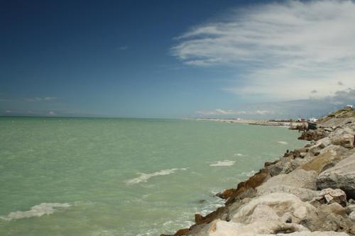 Imagen 4 de 68