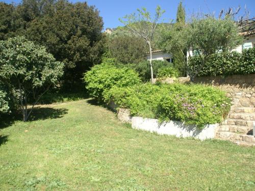 Imagen 3 de 25