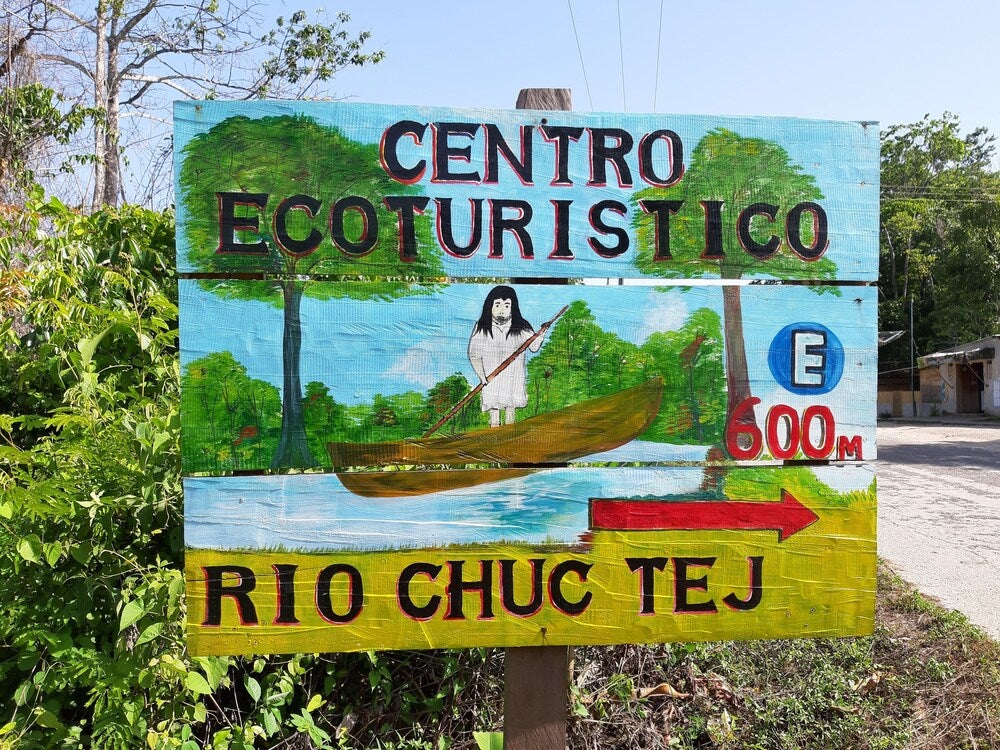 Imagen 2 de 18