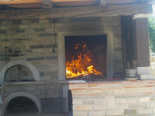Imagen 3 de 26