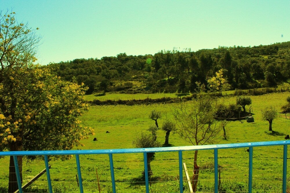 Imagen 4 de 21