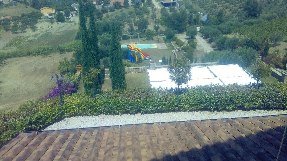 Imagen 3 de 31
