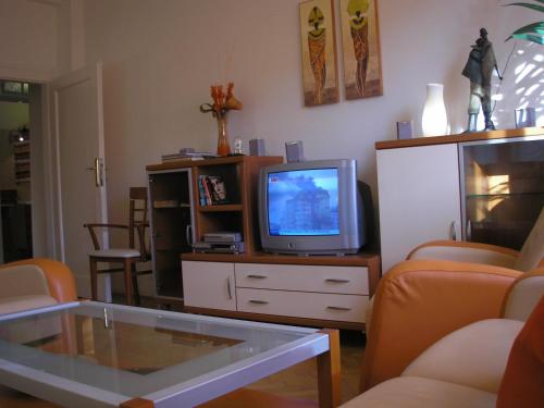 Imagen 5 de 12
