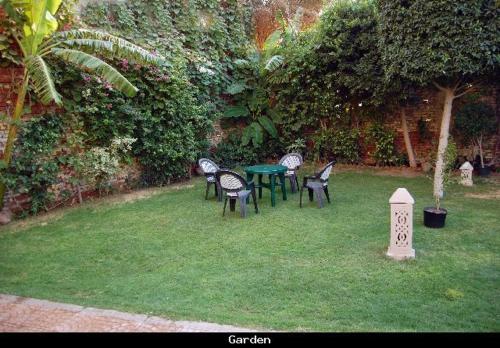 Imagen 3 de 8