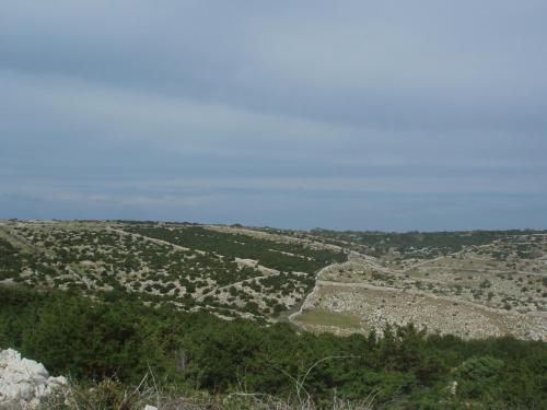 Imagen 5 de 86