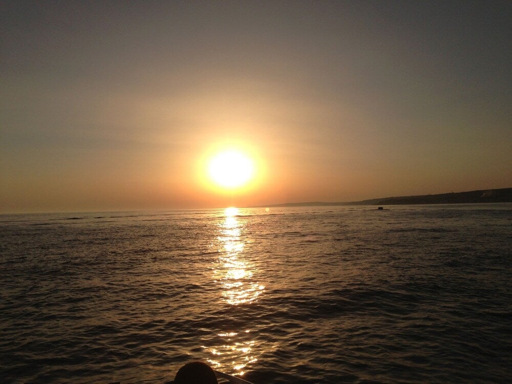 Imagen 3 de 102
