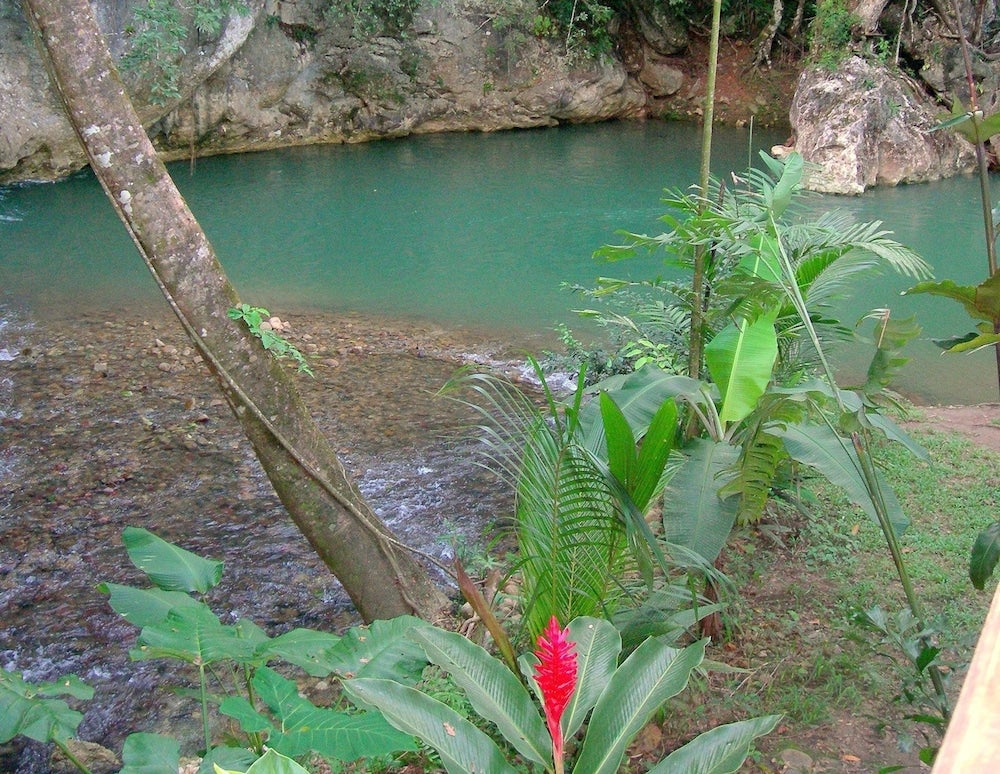 Imagen 1 de 62