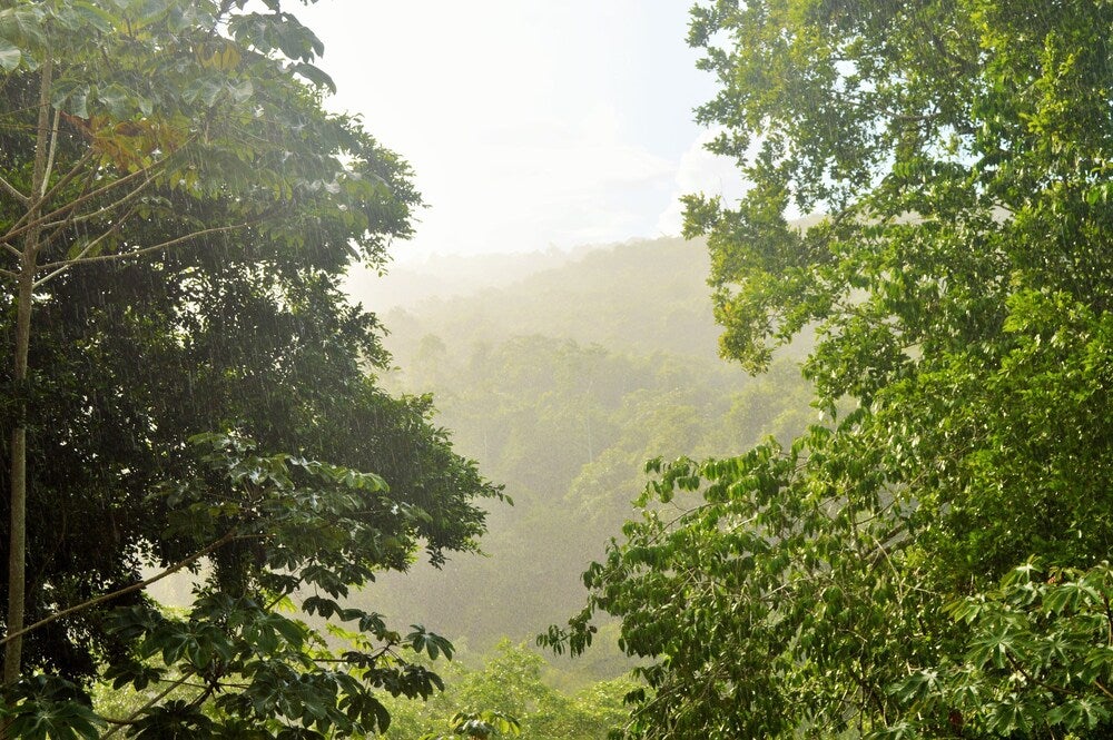 Imagen 4 de 62