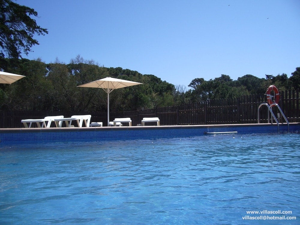 Imagen 3 de 12