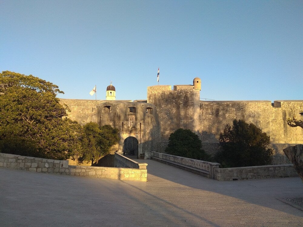 Imagen 3 de 29