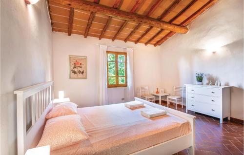 Imagen 2 de 24