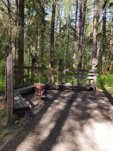 Imagen 5 de 20