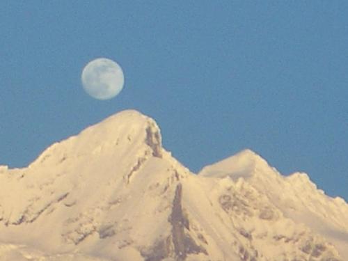 Imagen 5 de 25