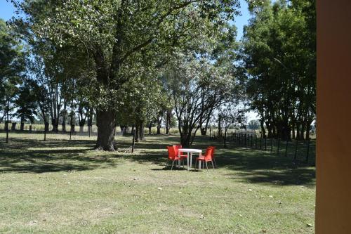 Imagen 3 de 9