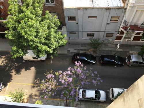 Imagen 4 de 7