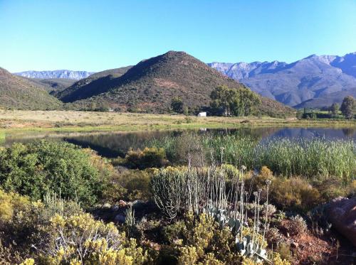 Imagen 2 de 22
