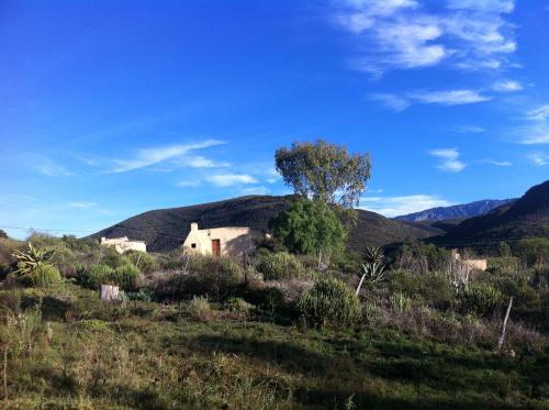 Imagen 3 de 22