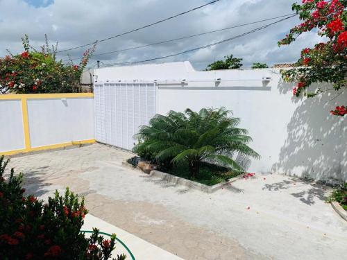 Imagen 5 de 21