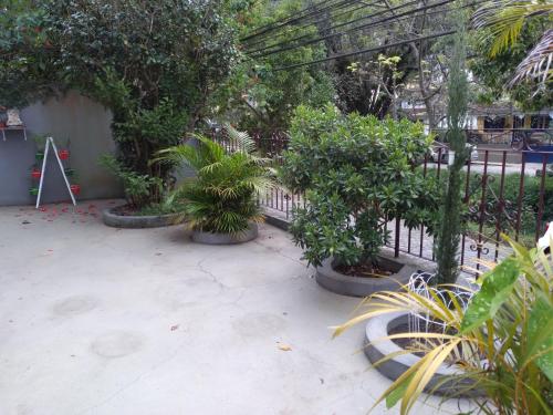 Imagen 3 de 21