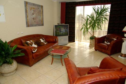 Imagen 4 de 41