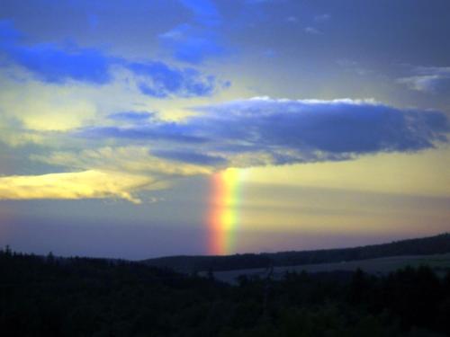 Imagen 2 de 40