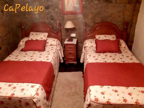 Imagen 4 de 12