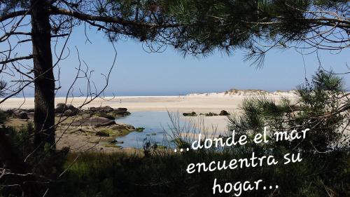 Imagen 5 de 31