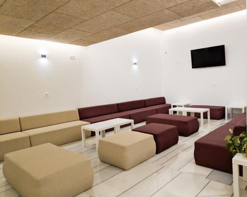 Imagen 2 de 31