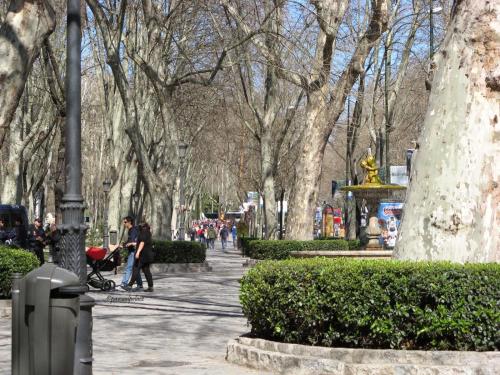 Imagen 1 de 33