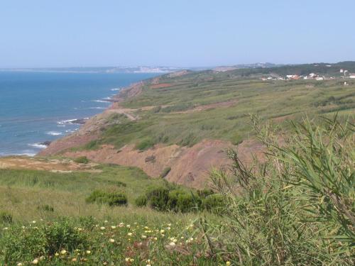 Imagen 4 de 37