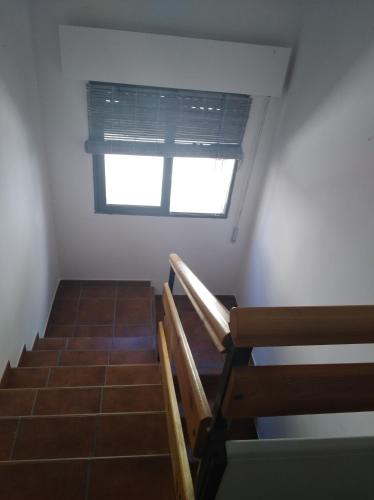 Imagen 4 de 7