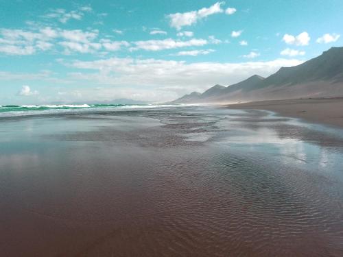 Imagen 2 de 19