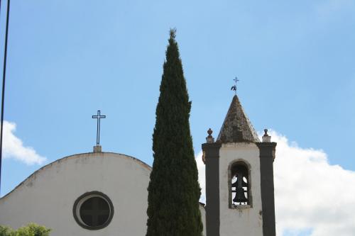 Imagen 4 de 15