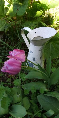 Imagen 5 de 12
