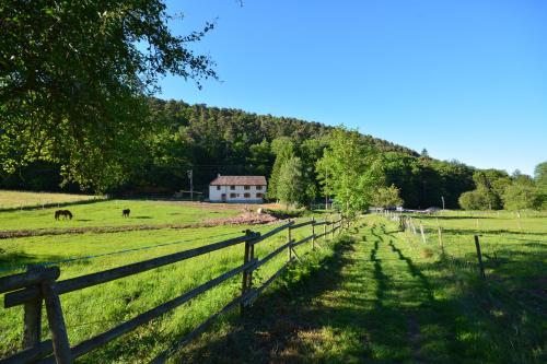 Imagen 1 de 16