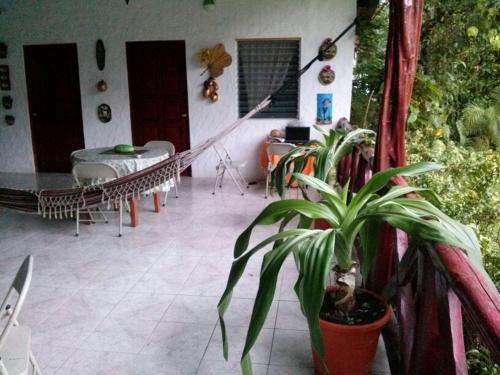 Imagen 4 de 20