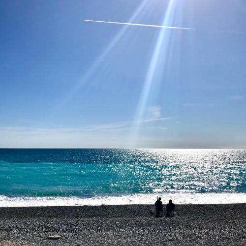 Imagen 3 de 113