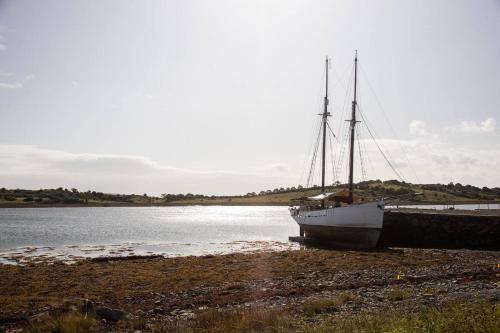 Imagen 5 de 36
