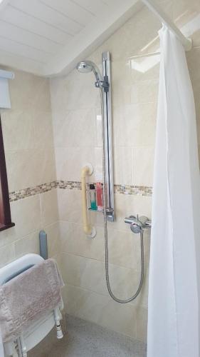 Imagen 4 de 5