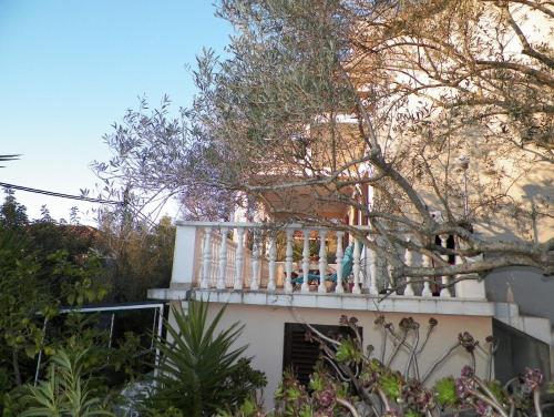 Imagen 2 de 24