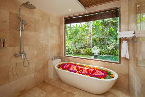 Imagen 4 de 11