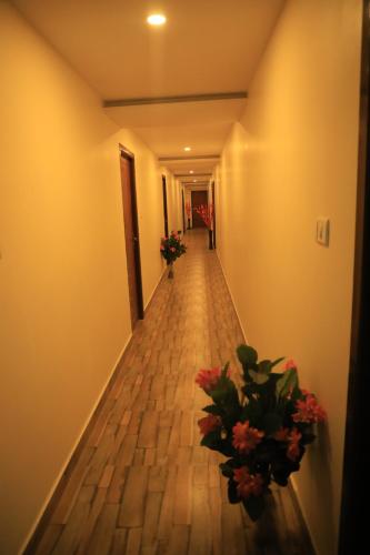 Imagen 5 de 5