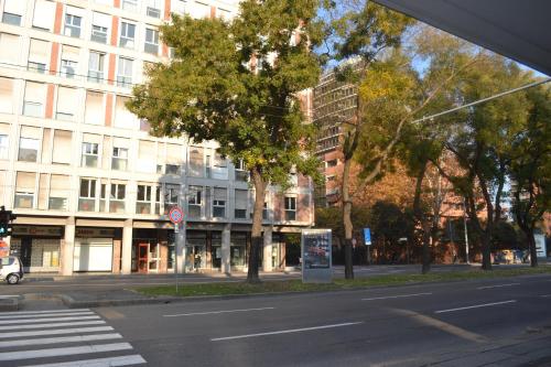 Imagen 2 de 2