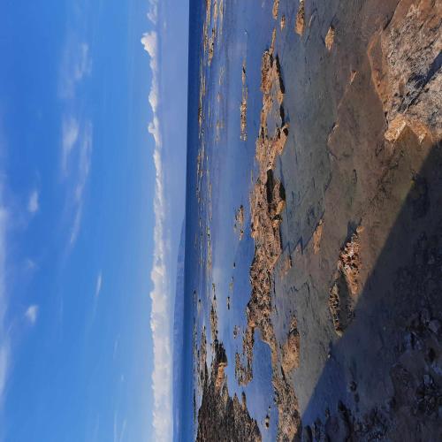 Imagen 3 de 50