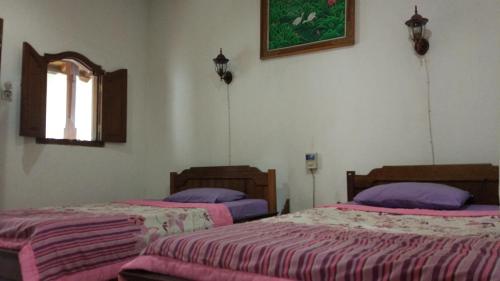 Imagen 2 de 3