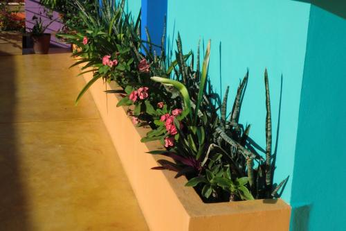 Imagen 4 de 30