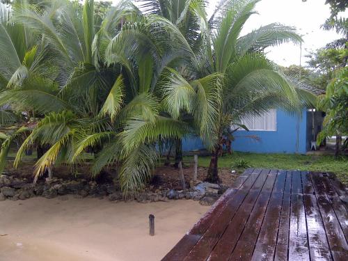 Imagen 3 de 84