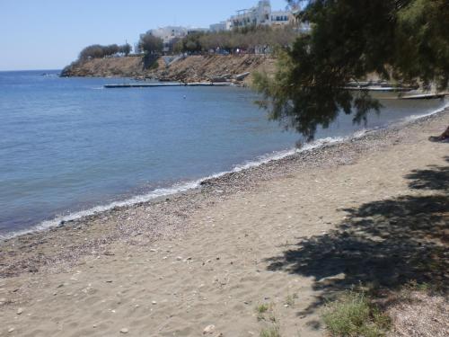 Imagen 2 de 31