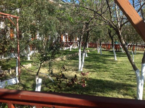 Imagen 3 de 58